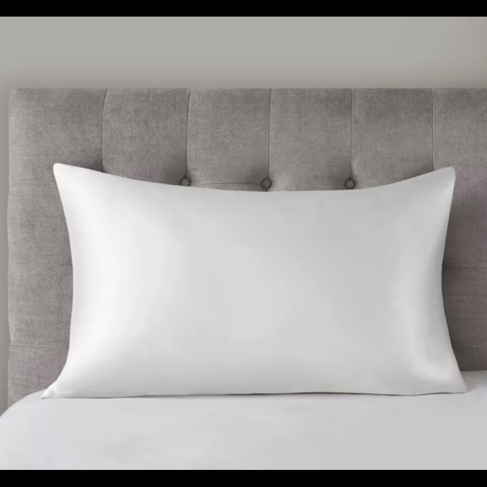 Madison Park Silk 100% Mulberry Standard Pillowcase
